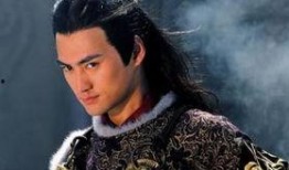 天涯爆料袁弘视频,天涯爆料背后的真相揭秘